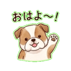 JAM_20260504185705