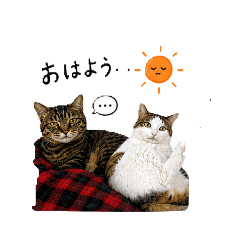 hiihiisan_20260504185649