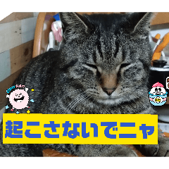 Kami_8