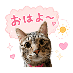 nagi_20260504185354