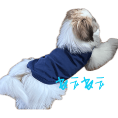 nanami_20260504184413