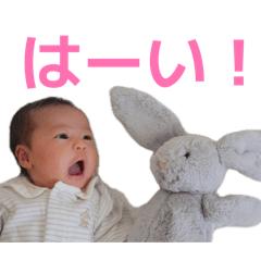 Suimama_20260504190526