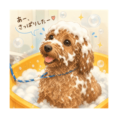 mayune_20260504190640