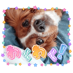 Ruby_20260504190952
