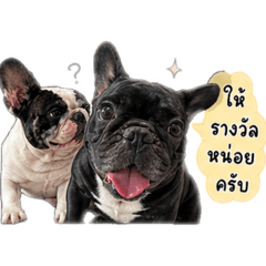 Nomi_20260428134930