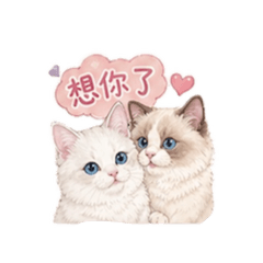Snow baby - 愛情篇