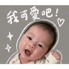 御飯糰粉絲第二彈