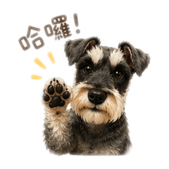 可愛小Money