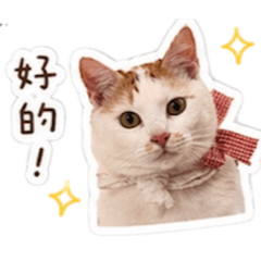 茶&米咕