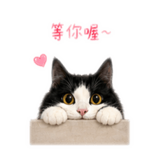 黑糖漢堡包6