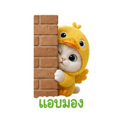 Nan_20260502194748