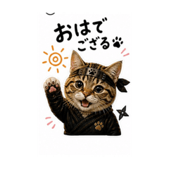 mirori_20260504190119