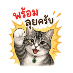 Ungkana.F_Num Chok Work