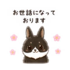 yuukooo_20260504192508