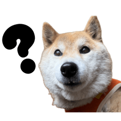 inu and neco_20260504192509