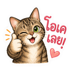 Cute Polite Cat Daily Chat