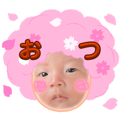 kzi_20260504193333
