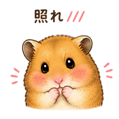 Kinakomochi_20260504193507