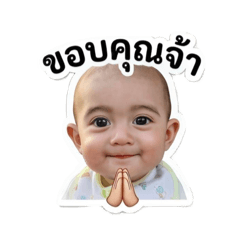 Mnampetch_20260428135219