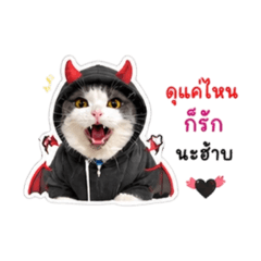 NooJune_20260428135401
