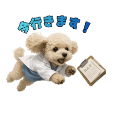 Doctor Toy Poodle Stickers