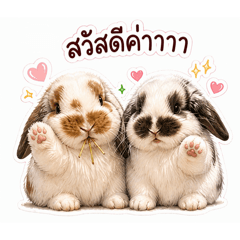 Mimi & Mumu, Labbits