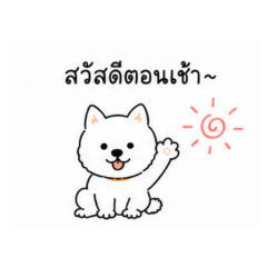 Shiba | Everyday Phrase Stickers Thai