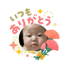 Arinko_20260504114531