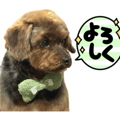 kaz_20260504111534