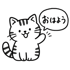 chiko_20260504112232
