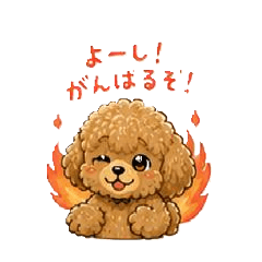 RYOU_20260504114328