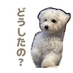 MokoMoko_20260504114912