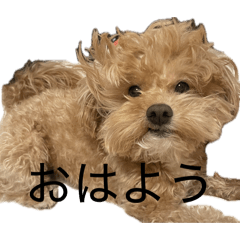 YUKI_20260504115630