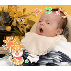 acha_20260504195000
