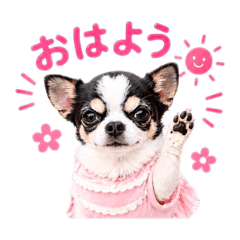 hime_mama_20260504115614
