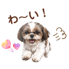 anko_20260504195527