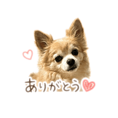 NANAMI_20260504195413