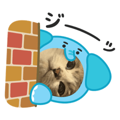emochan_20260504195146
