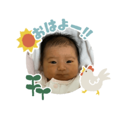 mikuchi_20260504195358