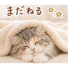 moka_cat_20260504194938
