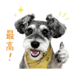 SORUTO_20260504195250