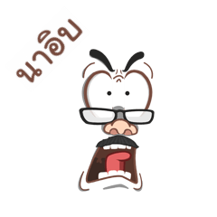 NAIB funface