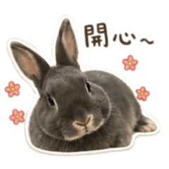 麻麻的小湯寶