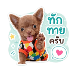 Anna_20260501201738