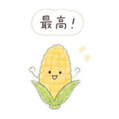 luapo_20260504121704