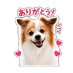 yoyotaro3_20260504122835