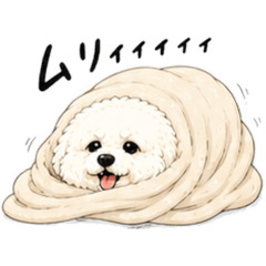 shuka_20260504122627