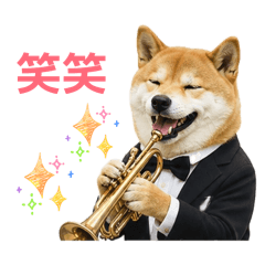 Kyooko_20260504194514