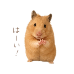 NANAMI_20260504200742