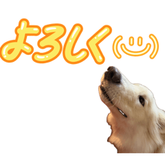 himajin_20260504201128